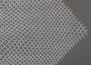 Cyclone Fence (canvas)