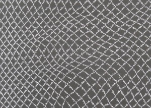 Cyclone Fence (canvas detail)