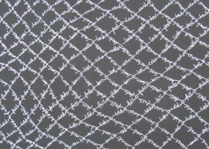 Cyclone Fence (canvas detail)