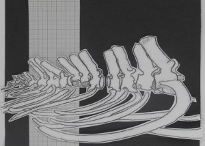 Project 2014 experiment 2