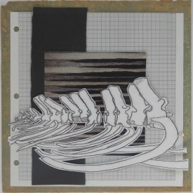 Project 2014 experiment 4