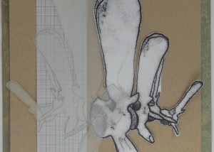 Project 2014 experiment 5