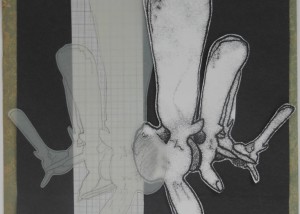 Project 2014 experiment 6