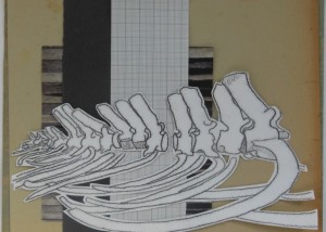 Project 2014 experiment 7