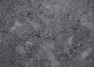 detail Circles IV (Continuum) 2017